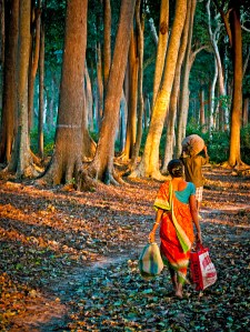 Chance encounters in the forest in Havelock, Andamans. The light was perfect unfortunately I wasn't fast enough to capture her looking at me. Still is a good domestic scene I think.